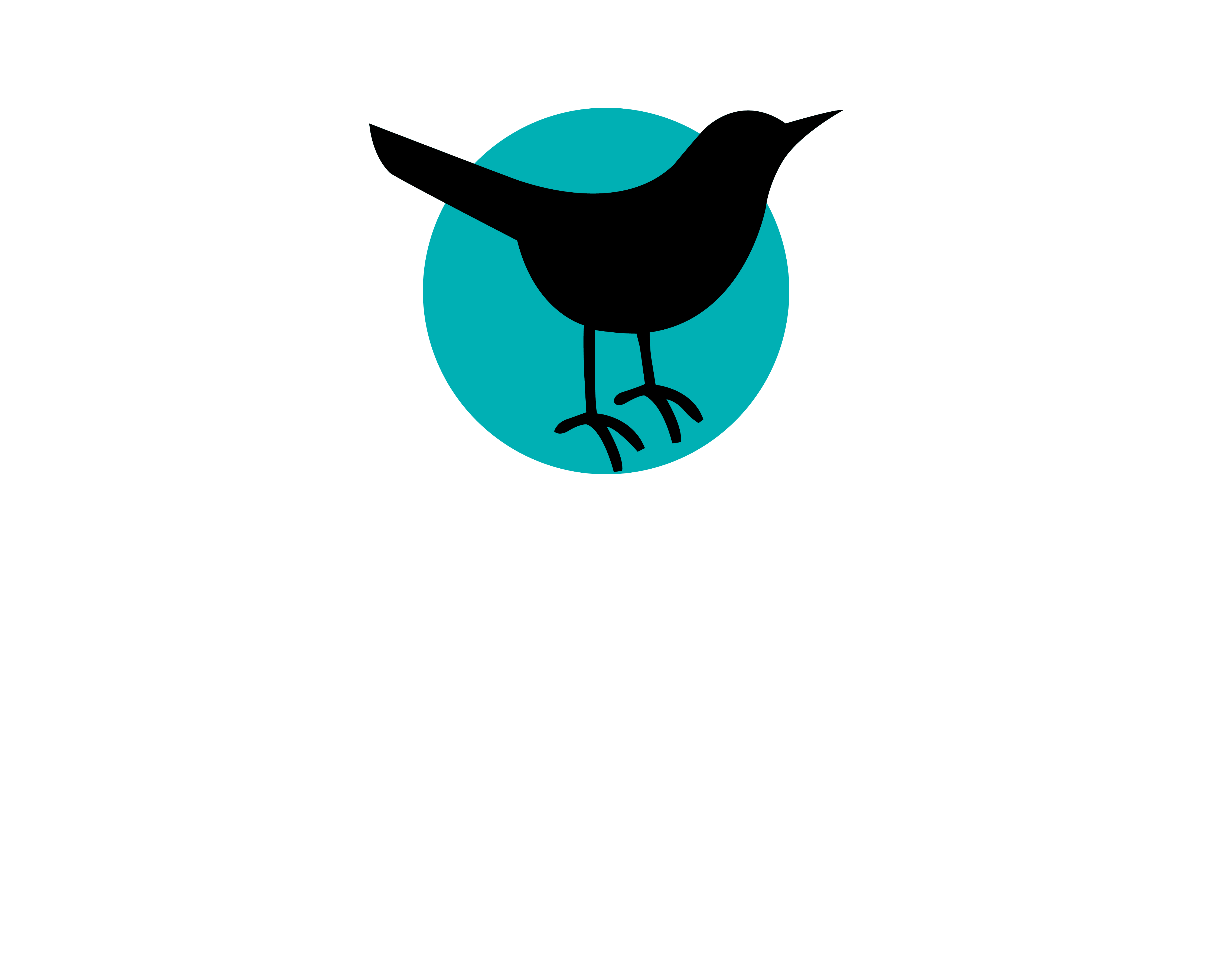 Cuckoo Coffee & Resto